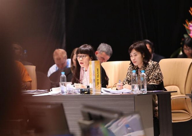 Việt Nam tham dự Hội nghị tổng kết các quan chức cao cấp APEC ảnh 1