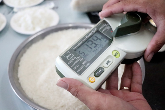 ttxvn_2108_gao giam phat thai (3).jpg