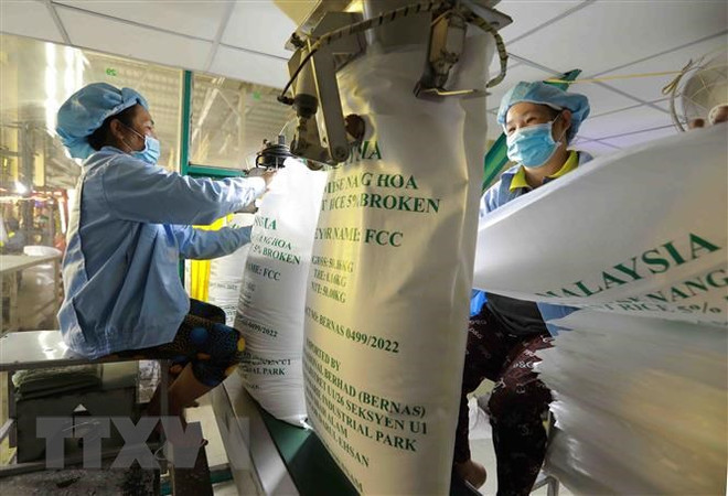 Đóng bao sản phẩm gạo xuất khẩu của Công ty TNHH gạo Vinh Phát ở thành phố Long Xuyên, An Giang. (Ảnh: Vũ Sinh/TTXVN) Nhu cầu tăng, xuất khẩu gạo Việt Nam kéo dài đà tăng trưởng ảnh 1