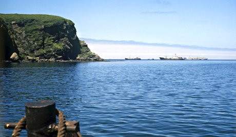 Nga công bố kế hoạch phát triển tại quần đảo tranh chấp Nam Kuril ảnh 1