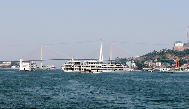 Đóng cửa cơ sở kinh doanh đón khách quốc tế mua sắm không phép ảnh 1