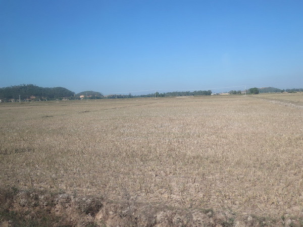 Khoảng 250.000 ca tử vong mỗi năm do ảnh hưởng biến đổi khí hậu ảnh 1