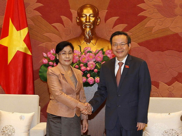 Việt Nam giúp Lào nâng cao năng lực cho cán bộ ngành kiểm toán ảnh 1