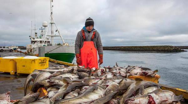 EU áp dụng công cụ mới chống đánh bắt hải sản trái phép ảnh 1
