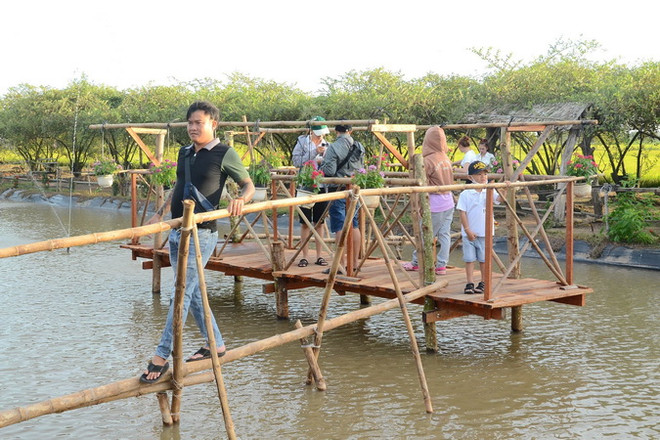 Tiền Giang: Du lịch nông nghiệp hấp dẫn du khách trong và ngoài nước ảnh 3