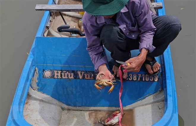 Phát triển Cà Mau trở thành trung tâm kinh tế biển bền vững ảnh 1