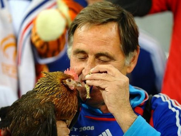 EURO 2016: Chú gà trống cưng Balthazar bị “cấm cửa” ảnh 1