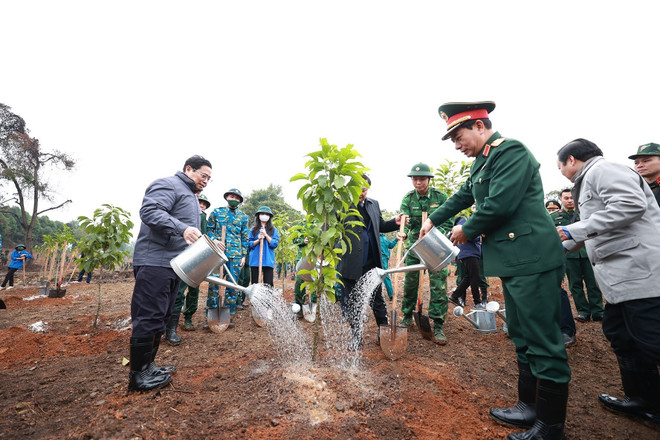 ttxvn_0702_trong cay (2).jpg