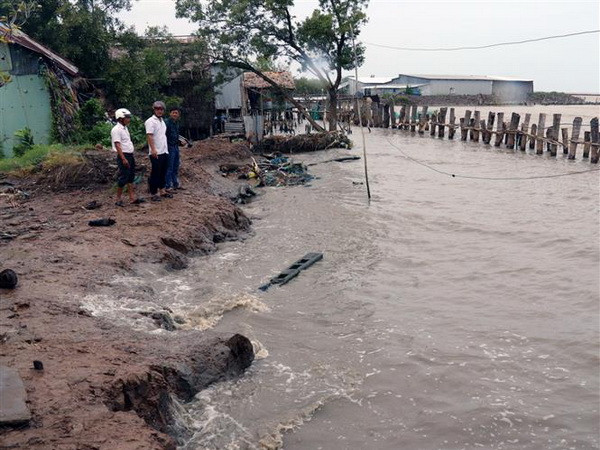 Bờ biển khu vực Tiểu Dừa, xã Vân Khánh Tây (An Minh, Kiên Giang) sạt lở đặc biệt nguy hiểm. (Ảnh: Lê Huy Hải/TTXVN) Tình hình sạt lở diễn biến nghiêm trọng ở Đồng bằng sông Cửu Long ảnh 1
