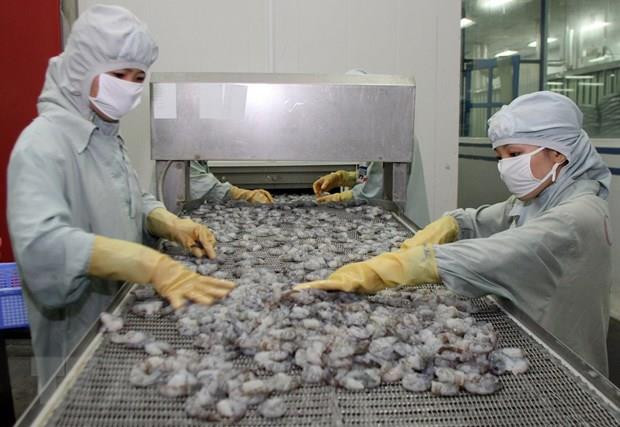 Khẳng định sự minh bạch của doanh nghiệp xuất khẩu Việt Nam ảnh 2