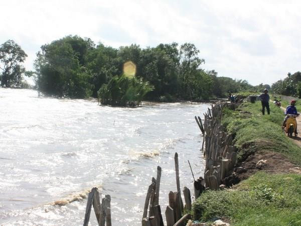 Hợp tác Việt Nam-Hà Lan về Quản trị Tài nguyên Nước tại ĐBSCL ảnh 1