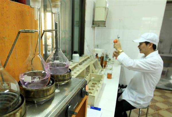 'Chưa hề có khái niệm nước mắm truyền thống hay nước mắm công nghiệp' ảnh 2