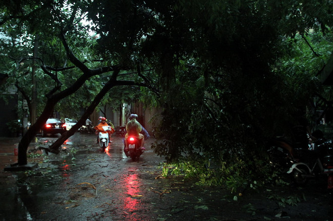 Cả nước có mưa dông diện rộng, đề phòng tố lốc và gió giật mạnh ảnh 1