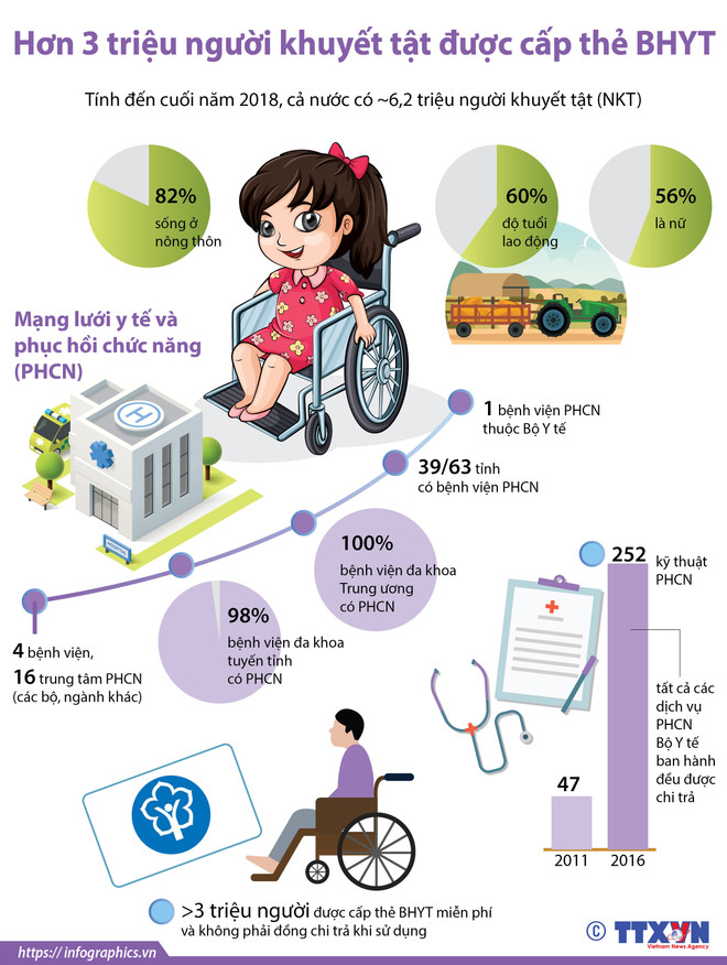 [Infographics] Hơn 3 triệu người khuyết tật được cấp thẻ BHYT ảnh 1