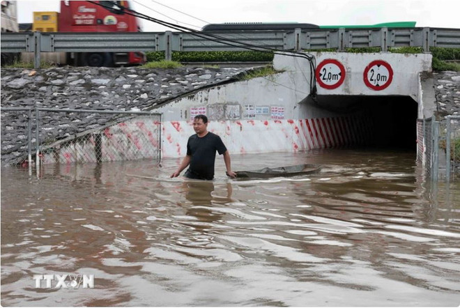 dai lo thang long ngap.JPG