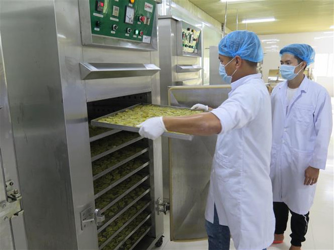 Hợp tác với doanh nghiệp chế biến: Điểm tựa tiêu thụ nông sản bền vững ảnh 3