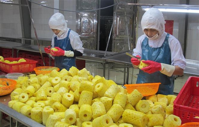 Hợp tác với doanh nghiệp chế biến: Điểm tựa tiêu thụ nông sản bền vững ảnh 1