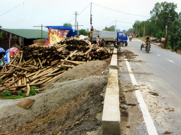 Cần xử lý dứt điểm tình trạng vi phạm an toàn đê điều ở Hà Nội ảnh 1