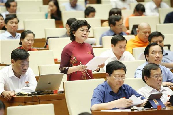 Đại biểu Quốc hội tỉnh Bắc Giang Hoàng Thị Hoa phát biểu ý kiến. (Ảnh: Doãn Tấn/TTXVN) Họp Quốc hội: Phát triển thư viện gắn với phát triển văn hóa đọc ảnh 2