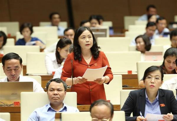 Đại biểu Quốc hội tỉnh Thái Nguyên Đoàn Thị Hảo phát biểu ý kiến. (Ảnh: Doãn Tấn/TTXVN) Họp Quốc hội: Phát triển thư viện gắn với phát triển văn hóa đọc ảnh 1