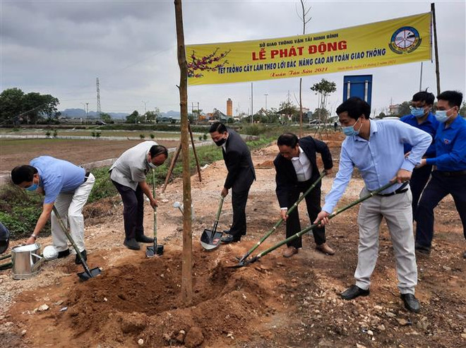 Nét đẹp Tết trồng cây, mang lại màu xanh cho đất nước ảnh 2