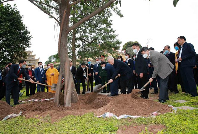 Nét đẹp Tết trồng cây, mang lại màu xanh cho đất nước ảnh 3