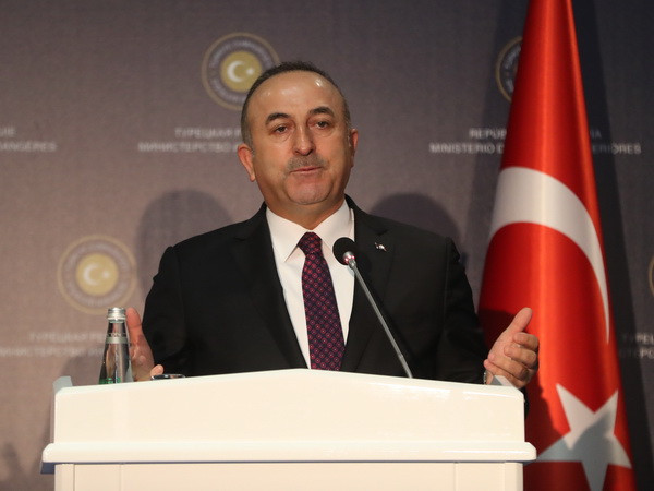 Thổ Nhĩ Kỳ nỗ lực tăng cường hợp tác với các nước Mỹ Latinh ảnh 1