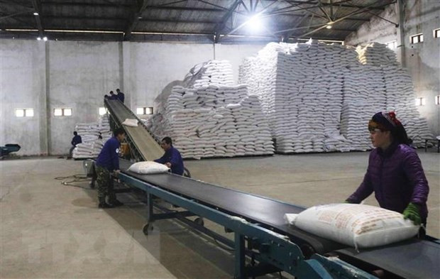 7 doanh nghiệp được phân giao hạn ngạch nhập khẩu đường bổ sung ảnh 1