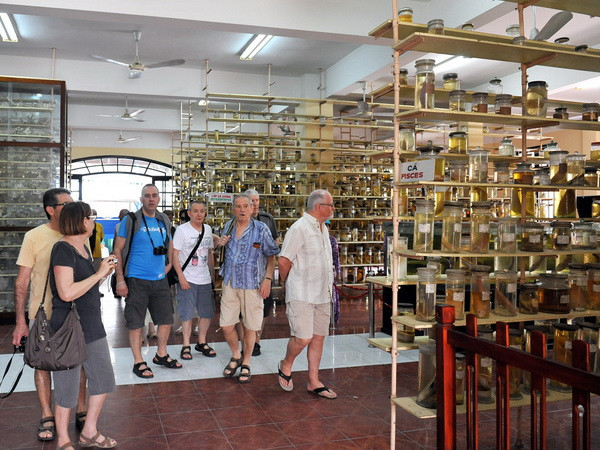 Đón chuyến bay thẳng đầu tiên từ Ukraine đến Khánh Hòa ảnh 1