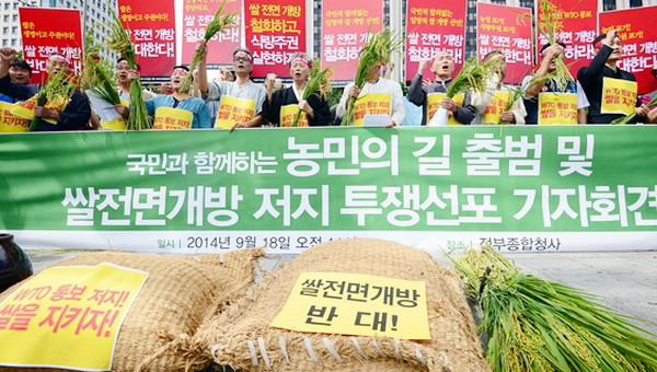 Hàn Quốc quyết định đánh thuế hơn 500% đối với gạo nhập khẩu ảnh 1