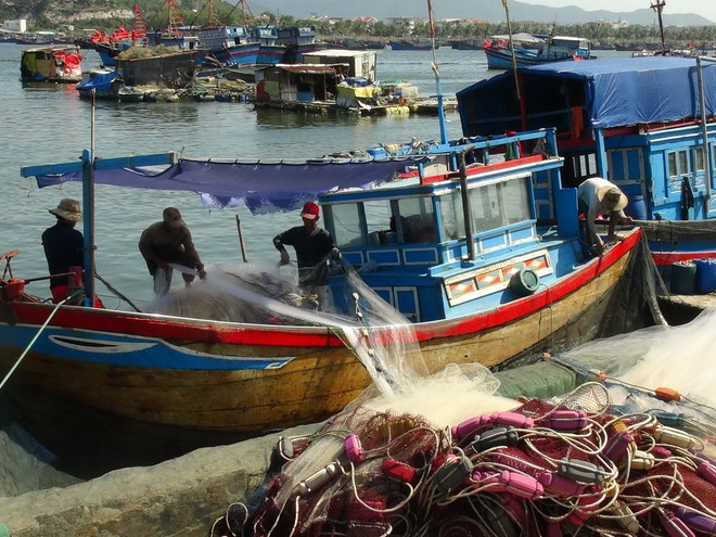 Tiếp tục đẩy mạnh thực hiện chính sách phát triển thủy sản ảnh 1