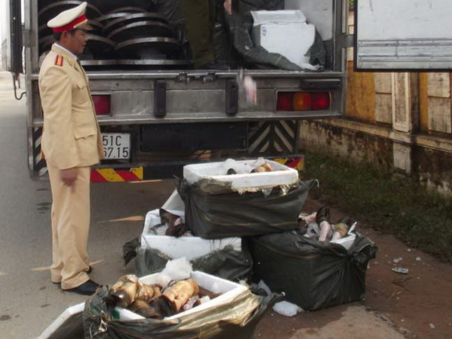 Bắt giữ hàng tấn động vật nhập lậu từ Trung Quốc vào Hà Nội ảnh 1