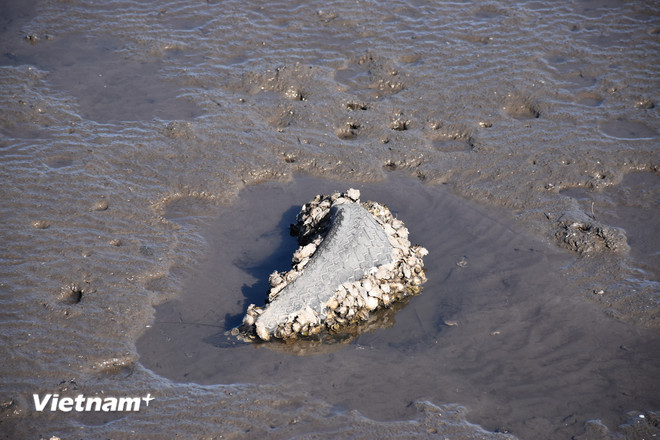 vnp_bai boi Nakatsu2 - Nhat Ban.jpg