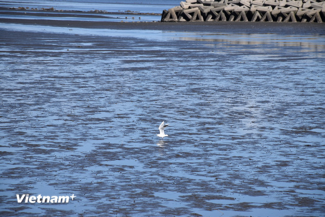 vnp_bai boi Nakatsu - Nhat Ban1.jpg