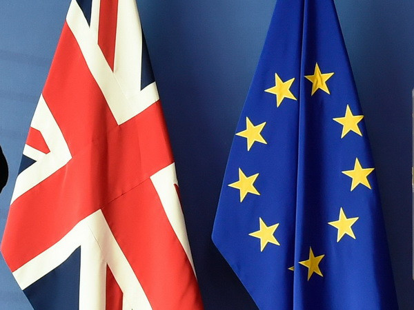 Nghị sỹ châu Âu: Đàm phán Brexit chưa đạt được "tiến bộ đầy đủ" ảnh 1