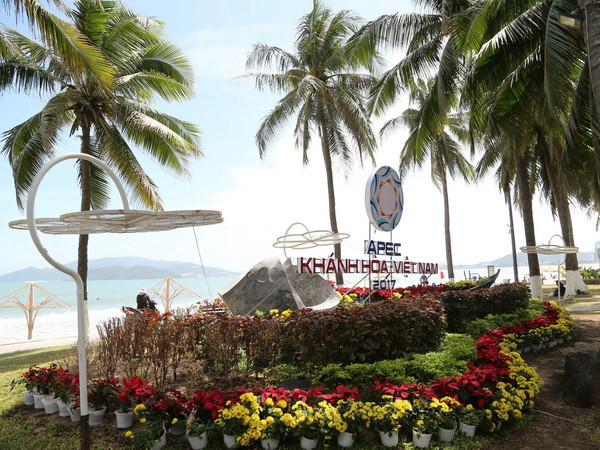 APEC 2017: Phiên họp chính thức Tiểu ban về thủ tục hải quan ảnh 1