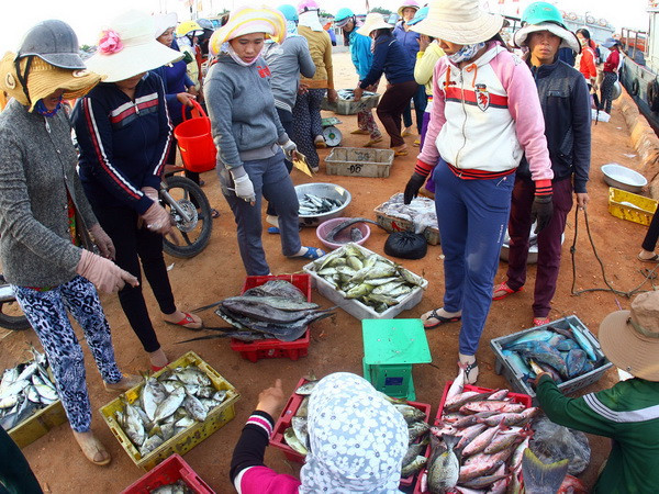 Nuôi trồng thủy sản mùa nước lũ cho hiệu quả kinh tế cao ảnh 1