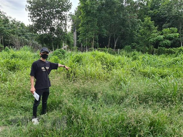 Bình Dương: Thận trọng các dự án bất động sản thiếu pháp lý ảnh 1