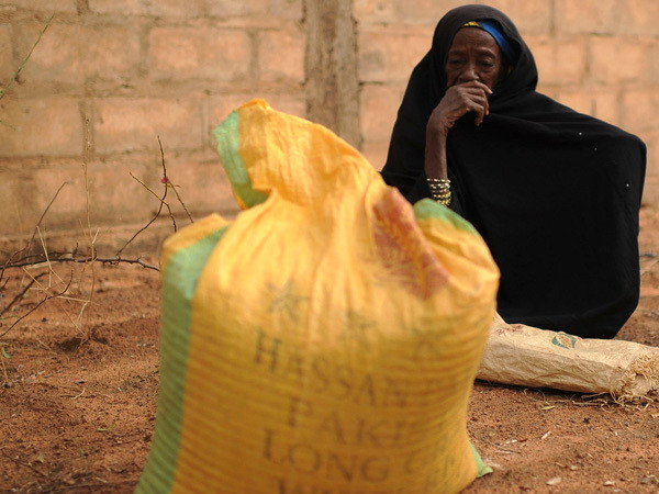 EU viện trợ 142 triệu euro cho khu vực Sahel trong 2014 ảnh 1