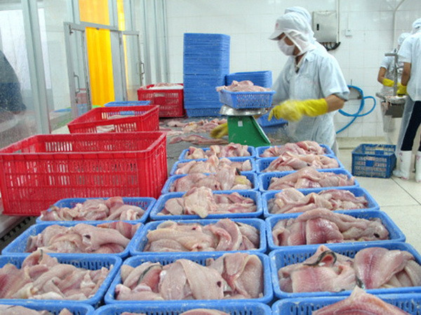 Sẽ kiểm tra tất cả lô hàng cá da trơn xuất khẩu vào Hoa Kỳ ảnh 1