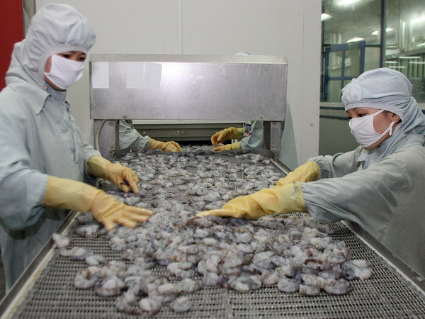 Anh rời EU: Xuất khẩu tôm của Việt Nam có xu hướng giảm ảnh 1