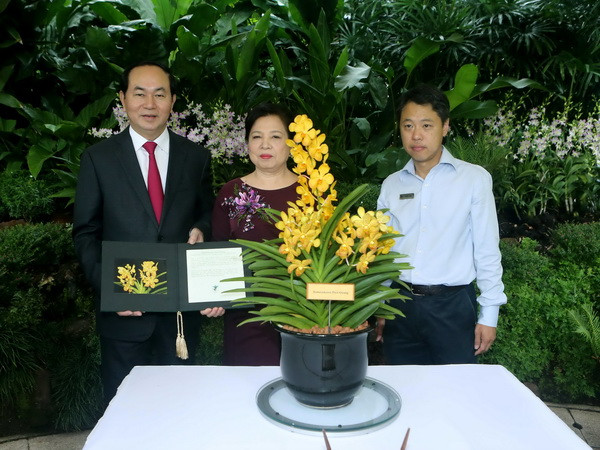 Chủ tịch nước Trần Đại Quang hội đàm với các nhà lãnh đạo Singapore ảnh 4