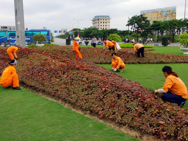Nhân lên những không gian xanh cho Thành phố vì Hòa bình ảnh 1