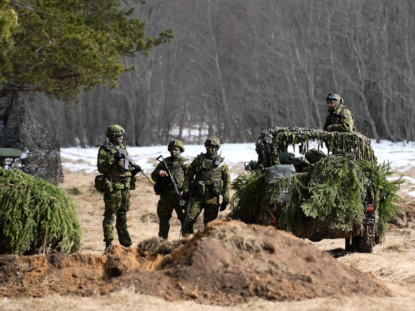 Các nước Baltic và Ba Lan họp bàn về hợp tác an ninh khu vực ảnh 1