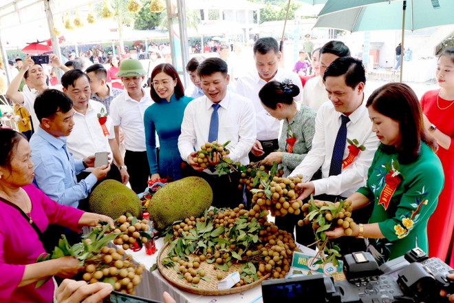 Tỉnh Sơn La phấn đấu xuất khẩu 75.000 tấn nhãn trong năm nay ảnh 1