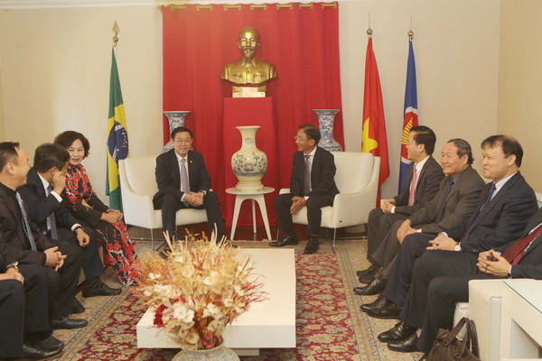 Đề nghị Brazil sớm công nhận quy chế kinh tế thị trường của Việt Nam ảnh 5