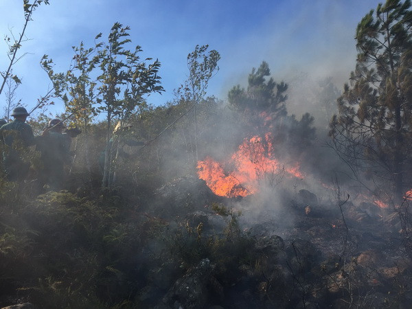 Nghệ An: Nắng đỉnh điểm, người đàn ông bị thiêu cháy khi dập lửa ảnh 1