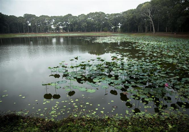 Trà Vinh: Thực hiện đồng bộ cơ chế thu hút đầu tư, phát triển du lịch ảnh 2