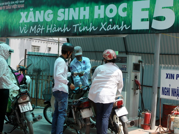 Việt Nam triển khai kế hoạch quốc gia về tăng trưởng xanh ảnh 1