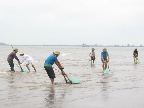 Xử lý nghiêm việc đưa tin bịa đặt về hải sản chết ở Cồn Vành ảnh 1